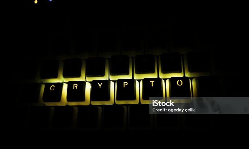 UTNP币的初始价格是多少?UTNP币发行价格的详细解析