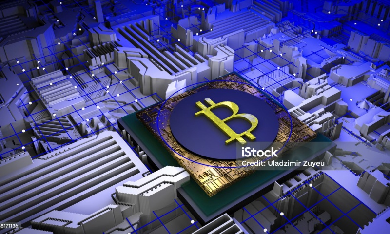 ZENX币是什么?ZENX币的市场定位与应用领域