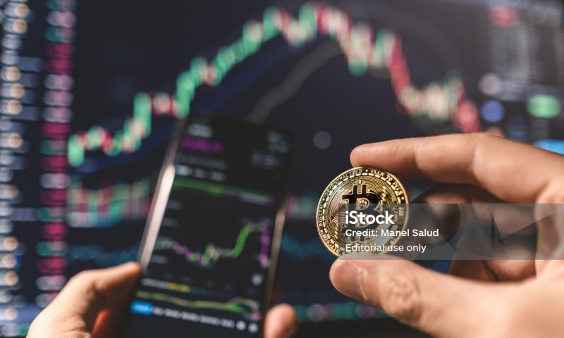 XWG币发行量是多少?小乌龟币的发行总量解析