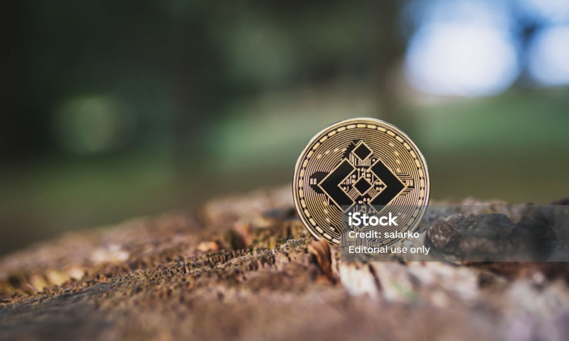 PIG币在哪里买?PIG币的交易所盘点与购买推荐