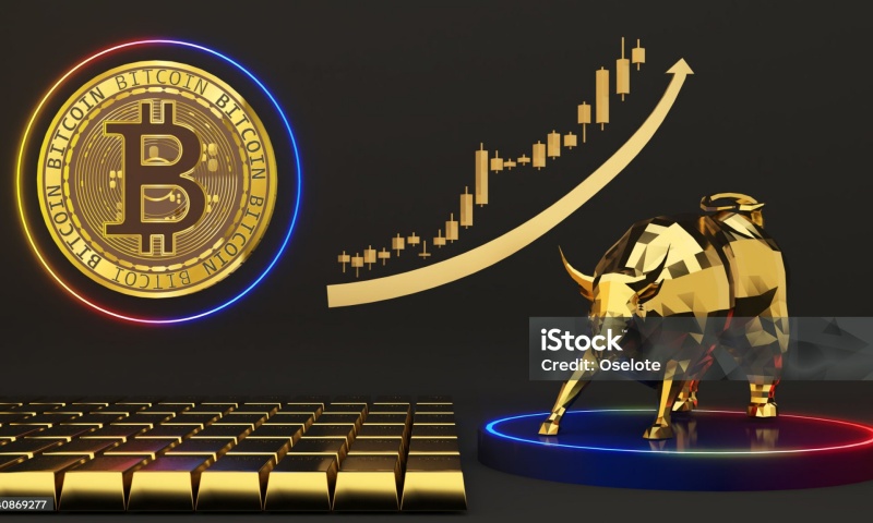 PTD币的初始发行价格是多少?投资价值详解