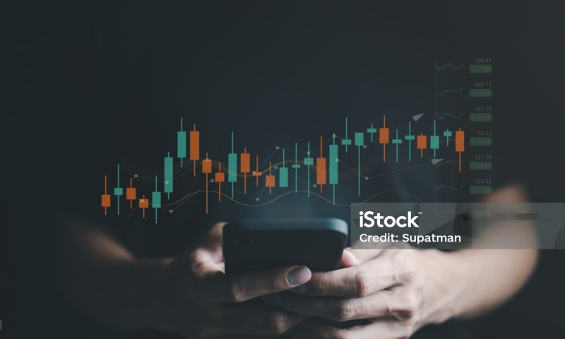 XWG币发行量是多少?小乌龟币的发行总量解析