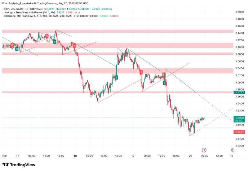 XRP即将暴涨至4美元?XRP未来6个月行情预测