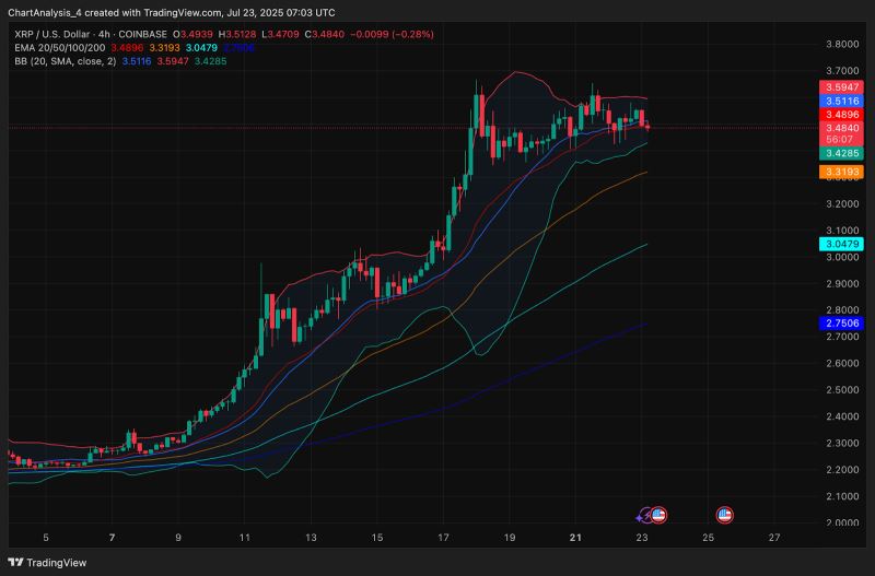 XRP即将暴涨至4美元?XRP未来6个月行情预测