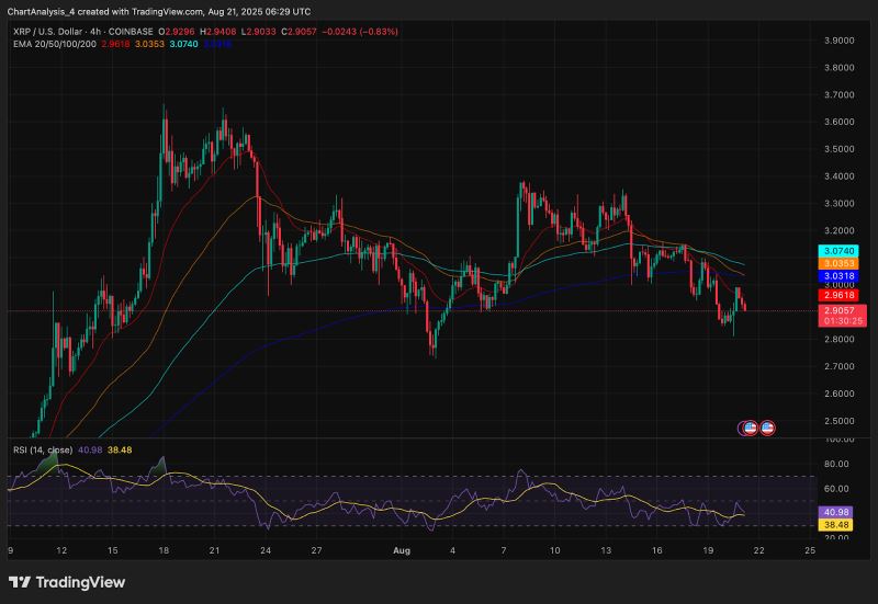 XRP即将暴涨至4美元?XRP未来6个月行情预测