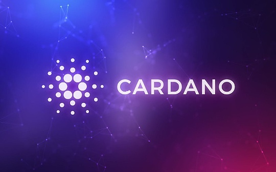 瑞波币升值潜力分析 | RSR币投资前景探讨