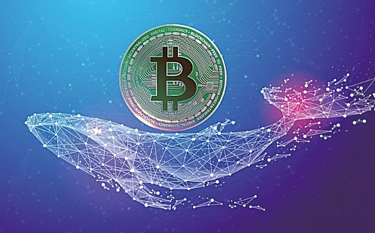 最有可能暴涨的5种币种分析 | 潜在高收益数字货币评估
