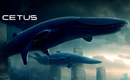 区块链节点解析 | 分布式网络中的核心角色