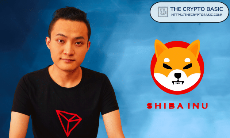 vemp币解析 | vemp币投资价值剖析
